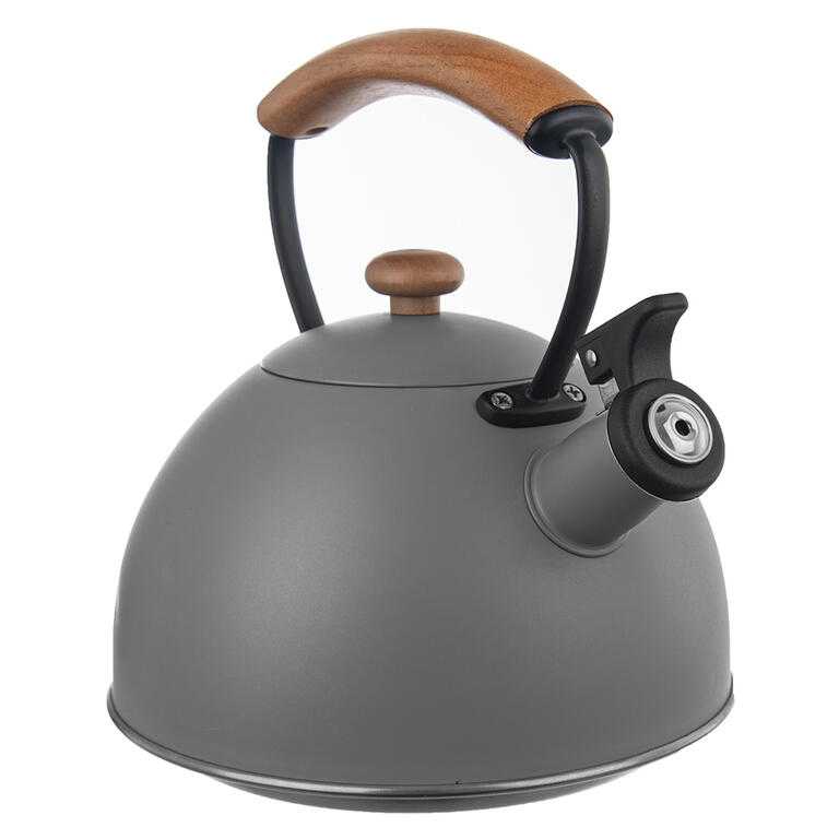 Nerezová pískacia kanvica WOODEN, 2,9 l - galéria #2