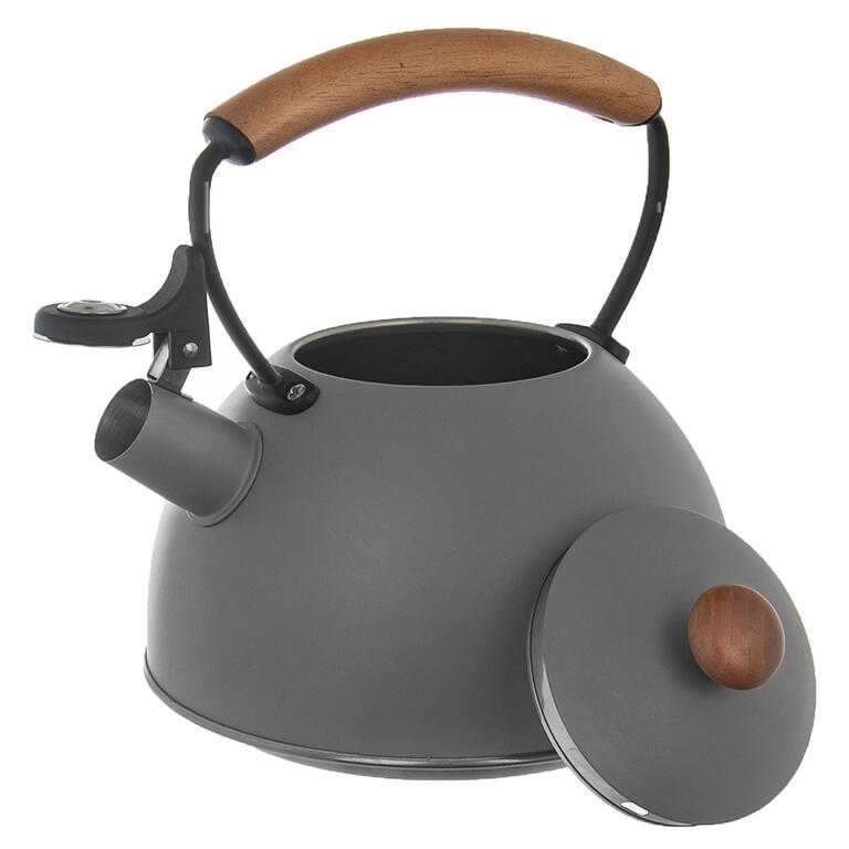Nerezová pískacia kanvica WOODEN, 2,9 l - galéria #1